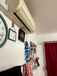 nanyang-emerald photo thumbnail #3